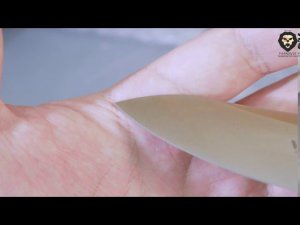 Складной нож Steel Will Modus F25-11 видео обзор 4k