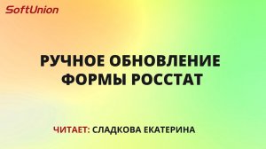 Ручное обновление формы Росстат