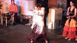 Flamenco fiesta en 2007