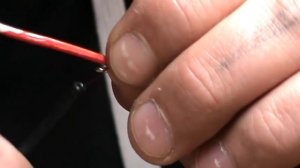 мотыль своими руками.