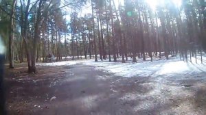 Санкт-Петербург,, парк Сосновка