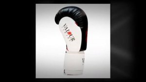 The best Professional 4oz - 16oz boxing gloves | Valour strike