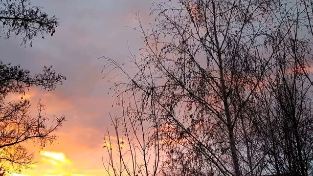 КЛИМ ХОЛОДНЫЙ 8 декабря. НАТОЩАК начинайте любое дело. Хотите РАЗБОГАТЕТЬ? смотреть онлайн