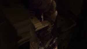 Пневмогудок на лада весту
