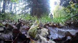 Мини чоппер jordan ,iron eagle.чоппер по бездорожью