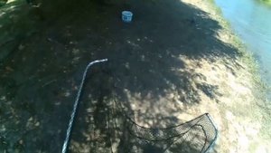 Как наловить малька