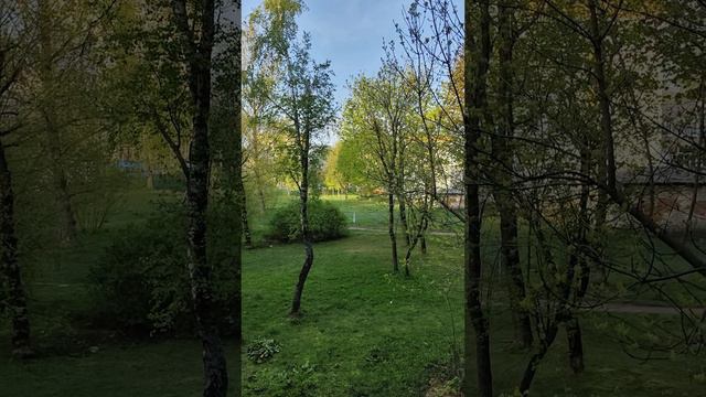 Лето💛