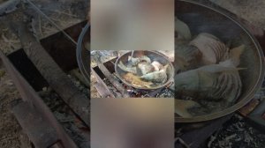 рыбалка и отдых