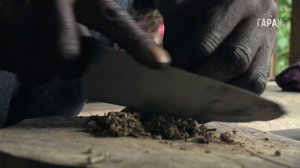 Strain Hunters Jamaica Expedition русский перевод и озвучка Гараж