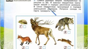 Задание 3 Кто такие звери? - Окружающий мир 1 класс (Плешаков А.А.) 1 часть