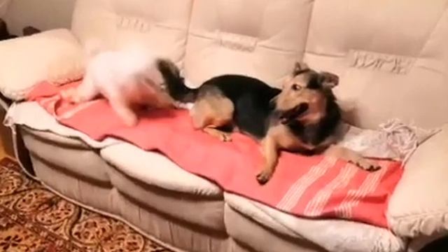 Страшный сон Семёна.. смотреть онлайн