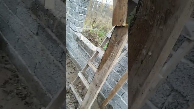 ✅Стартовый проект. Выпуск №17 ? из арболитовых блоков Залили бетоном балку перекрытия второго этажа смотреть онлайн