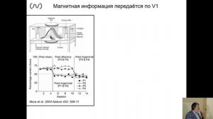 Дальняя навигация птиц: методы изучения и нейробиологические основы