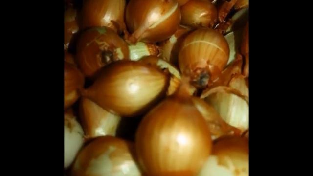 Уникальные сорта лука и чеснока. Рокамболь