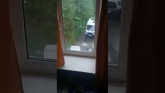 ну как их не по кормить?
#голуби #лапландия #мурманск смотреть онлайн