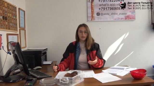 Инструктор Дружкова Юлия. Кормление собак натуральным кормом. Тольятти, 18 сентября 2021. смотреть онлайн