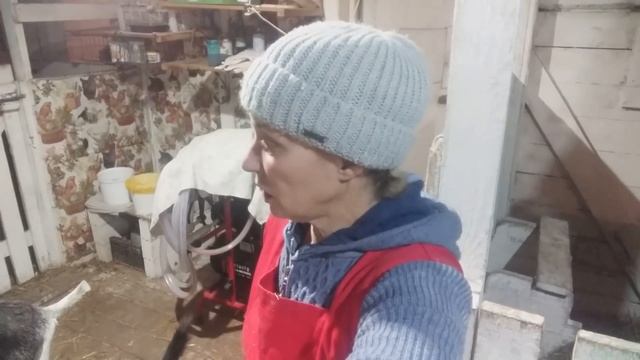 Плюсы и минусы искусственного вскармливания козлят смотреть онлайн