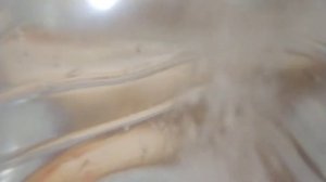 мы  сделали напиток "снежок" В ДОМАШНИХ УСЛОВИЯХ