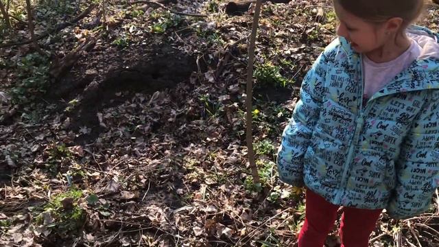 Развивашки от папашки № 04. Что можно найти в лесу. смотреть онлайн