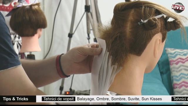 Tehnici de vopsit parul  Hair dye Techinique