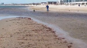 Река Анапка.Часть 1.