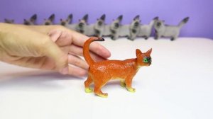 Набор пластиковых животных, серия "Ребятам о зверятах. Кошки", бренд Bondibon