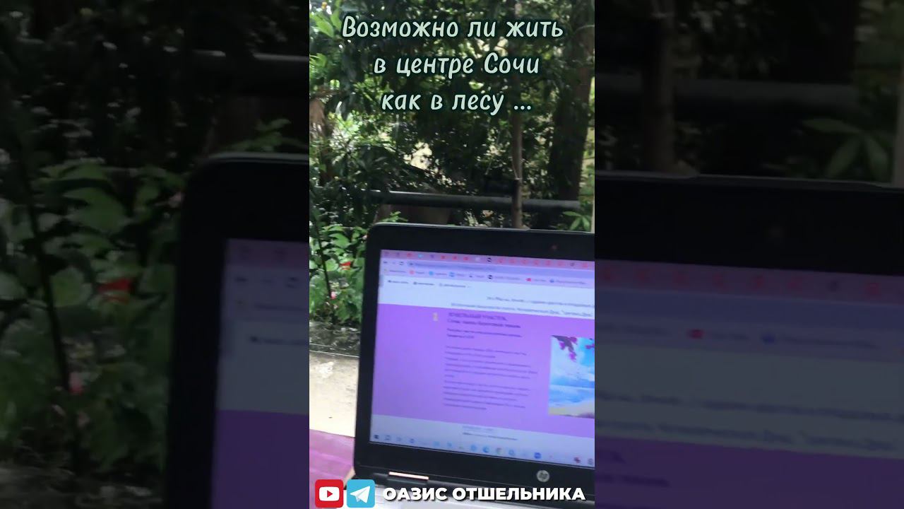 Когда потоп в Сочи отменён #высокиевибрации