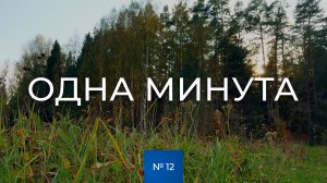 № 12 / Одна минута / На опушке / Начало осени / Тверская область