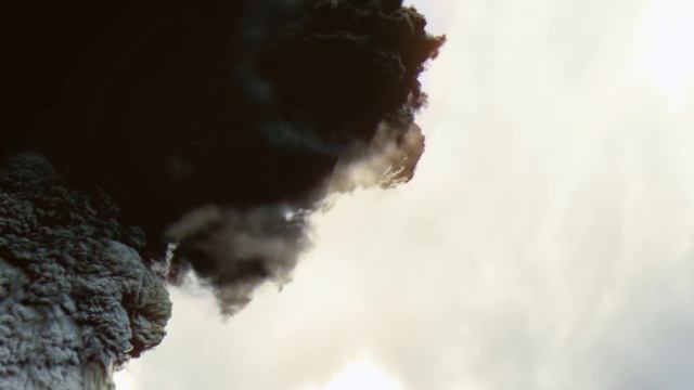 ¿Cuál es el origen del ave del paraíso de Wallace? | Misterios de Nuestro Planeta | Animal Planet смотреть онлайн