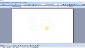 Как поставить нумерацию в Ворде 2003, делаем автоматическую нумерацию страниц в WORD