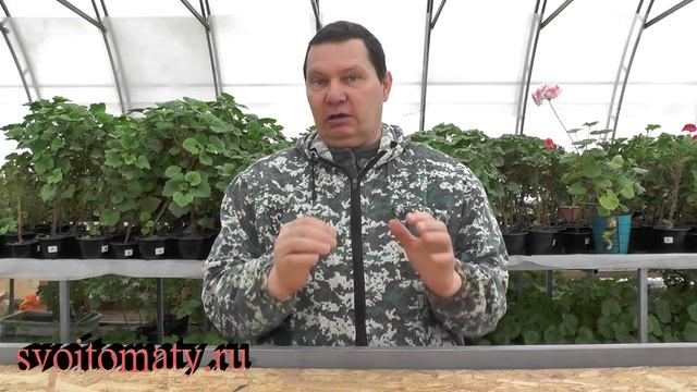 Совместные посадки плюсы и минусы