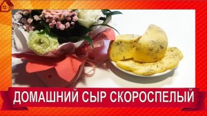 ДОМАШНИЙ СЫР на закваске БАКЗДРАВ * СКОРОСПЕЛЫЙ -много дырочек/ homemade cheese