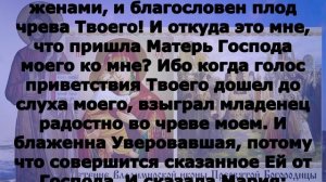 Включи прямо сейчас!  Евангелие дня 8 сентября Сретение Владимирской иконы Пресвятой Богородицы 202