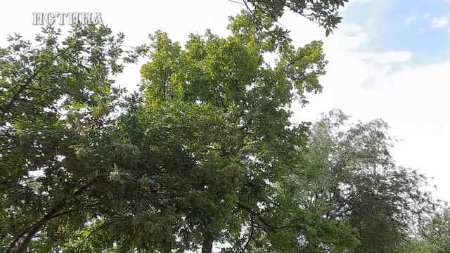 26 Мая - Лукерья Комарница. Народный праздник. Что нельзя делать в этот день.