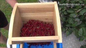 Обзор пресса СВР-01М - красная смородина