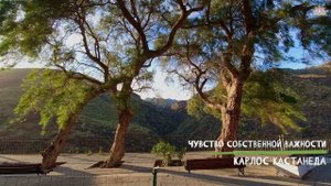 Чувство собственной важности. Диалог дона Хуана и Карлоса Кастанеды.