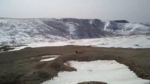 Прогулки по Острову Уруп