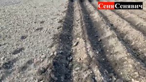 Трактор SOLIS RX-50 и сажалка ВОМЕТ, СОЛИС РХ 50 с двухрядной сажалкой садит огород