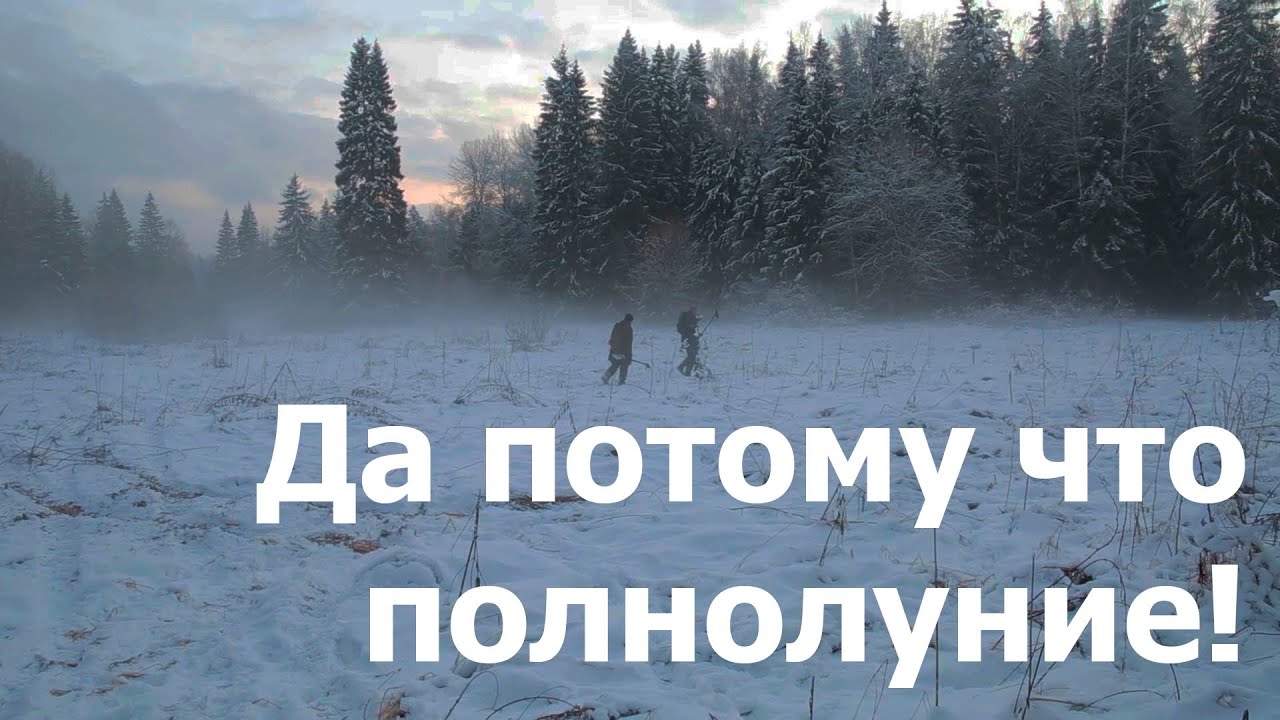 Да потому что полнолуние (зимний коп)
