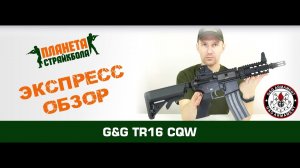 Обзор автомата G&G TR16 CQW (tgr-016-cqw)