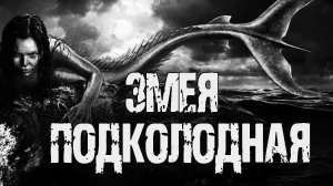 ЗМЕЯ ПОДКОЛОДНАЯ - Г.Евдокимова. Страшные истории про лес. Мистические рассказы. Мистика