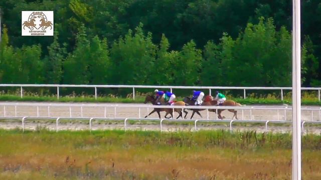 07.08.2022 - Приз "Юлдуза" на лошадях 4-х лет и старше ахалтекинской породы - Перевал смотреть онлайн