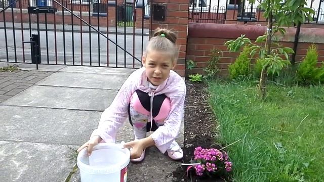 Подарок для тёти. Пересаживание цветка с горшка в землю. смотреть онлайн