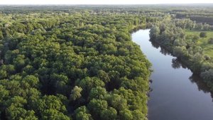 Река Хопёр, Воронежская область, июнь 2022