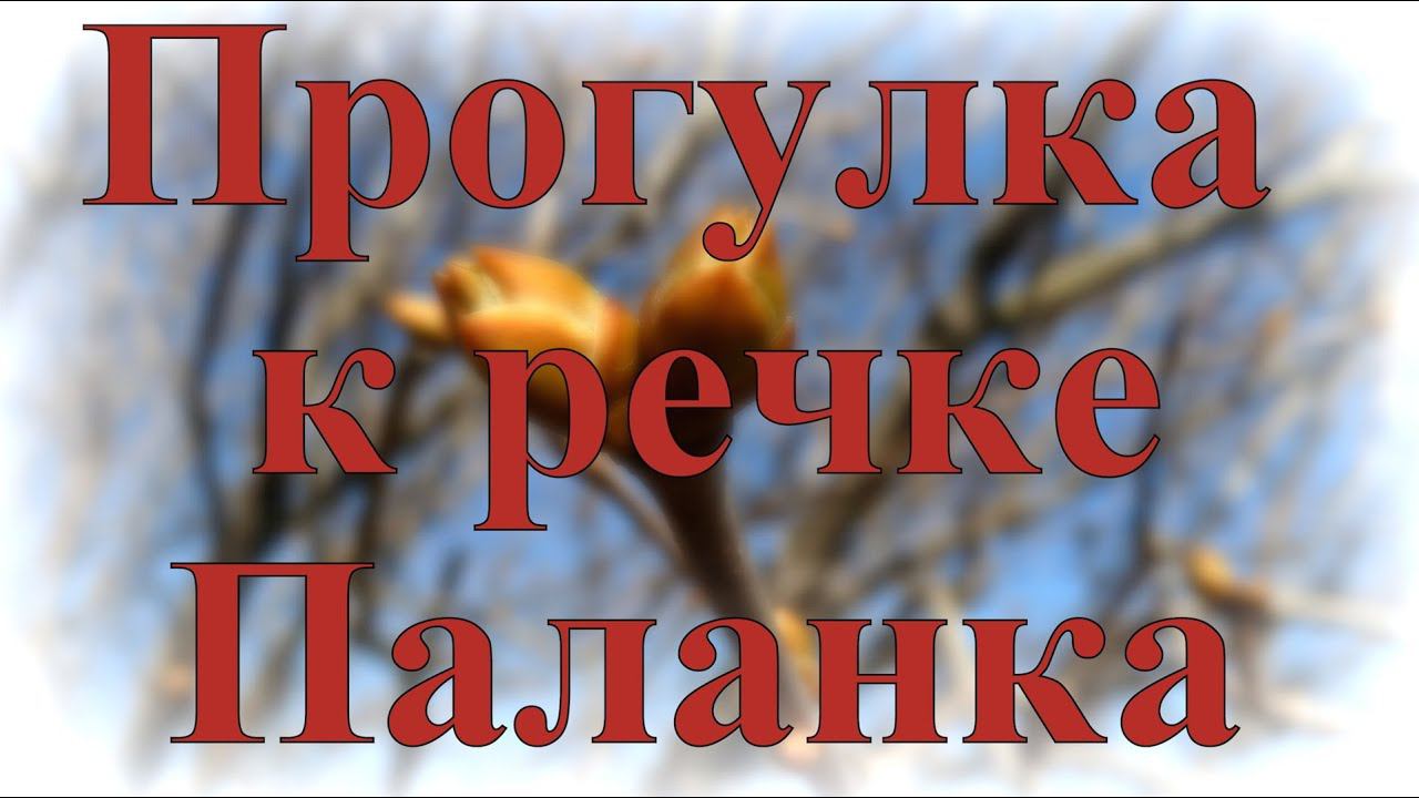 Прогулка к речке Паланка 12 апреля 2014