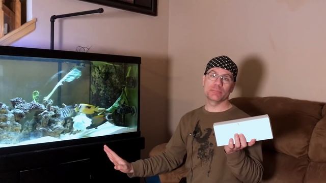 green hair algae: How to kill green algae in saltwater aquarium forever смотреть онлайн