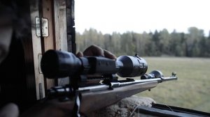 ОСЕННЯЯ ОХОТА НА КАБАНА / ТЕПЛОВИЗОР PULSAR ACCOLADE / НОЧНИК ATN / КАРАБИН ТК-598 9,6/53 LANCASTER