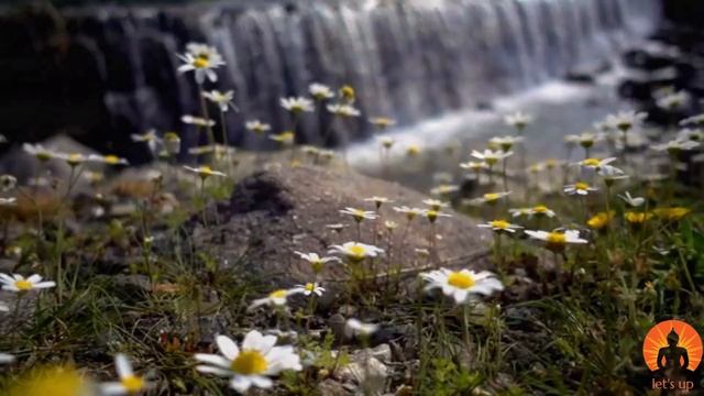 The Best Meditation Music To Relax Your Mind And Body смотреть онлайн