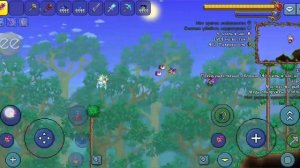 получить эхо блок в террарии