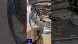  тойота раф4Диагностика+прошивка+ремонт